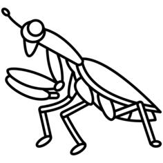 Mantis