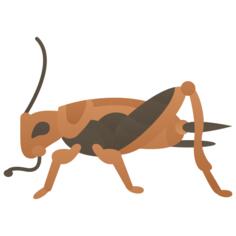 Cricket