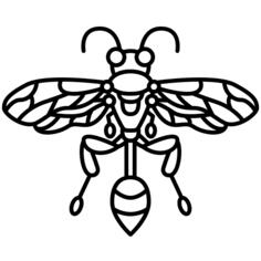 Hymenoptera