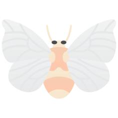 Moth