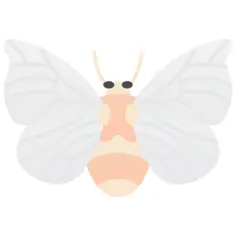Moth