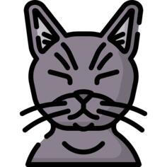 猫
