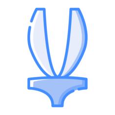 One piece bikini