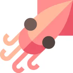 Squid