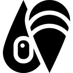 蚌