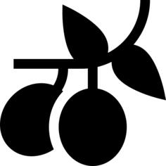 橄榄