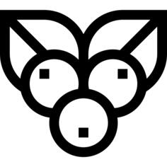 蓝莓