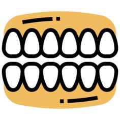 Incisor