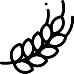 Gluten