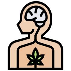 内源性大麻素