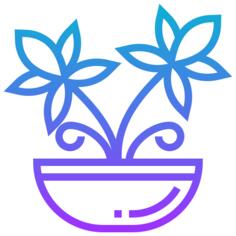 大麻