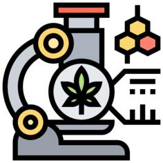 Tetrahidrocannabinol