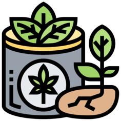 大麻