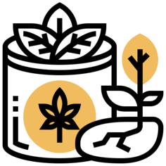 大麻