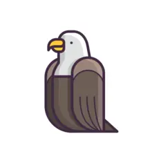 鹰