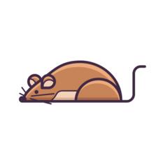 鼠