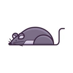 鼠
