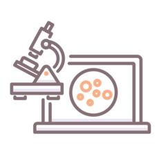 Microscope