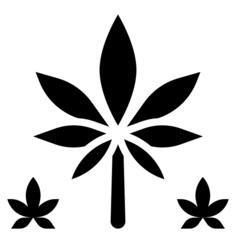 麻