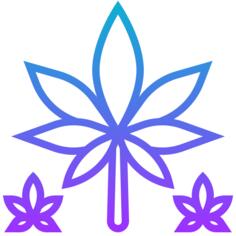 麻