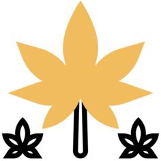 麻
