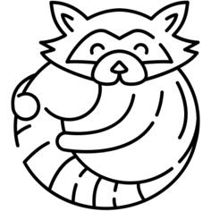 浣熊