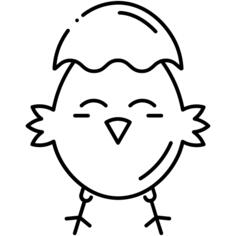 小鸡