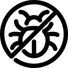 Insect