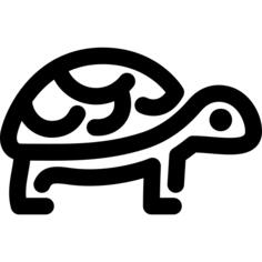龟