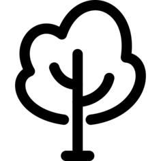 Aspen