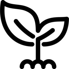 发芽