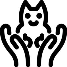 猫