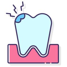 Teeth