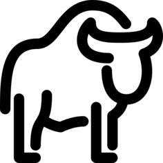 Bison