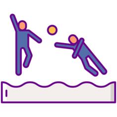 Volley