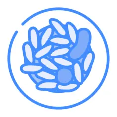 法巴达