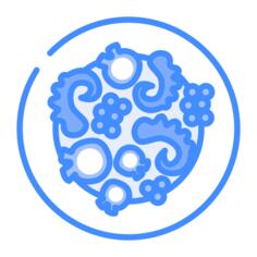 章鱼