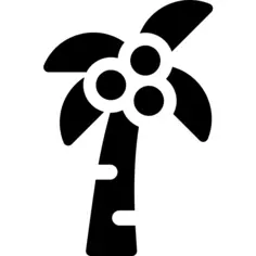 棕榈树