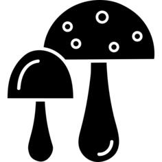 蘑菇