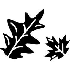 枫叶