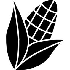 玉米