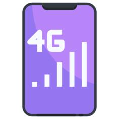 4g