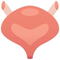 Urinary