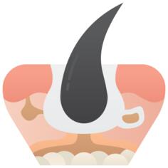 皮肤层