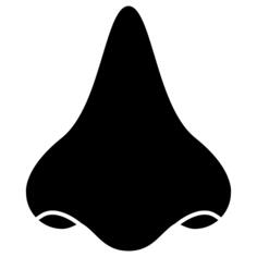 Nose