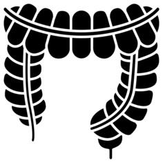 Large intestine