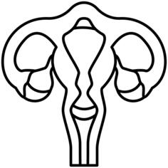 子宫