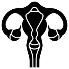 子宫