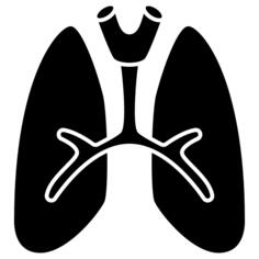 Lung