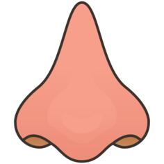 Nose